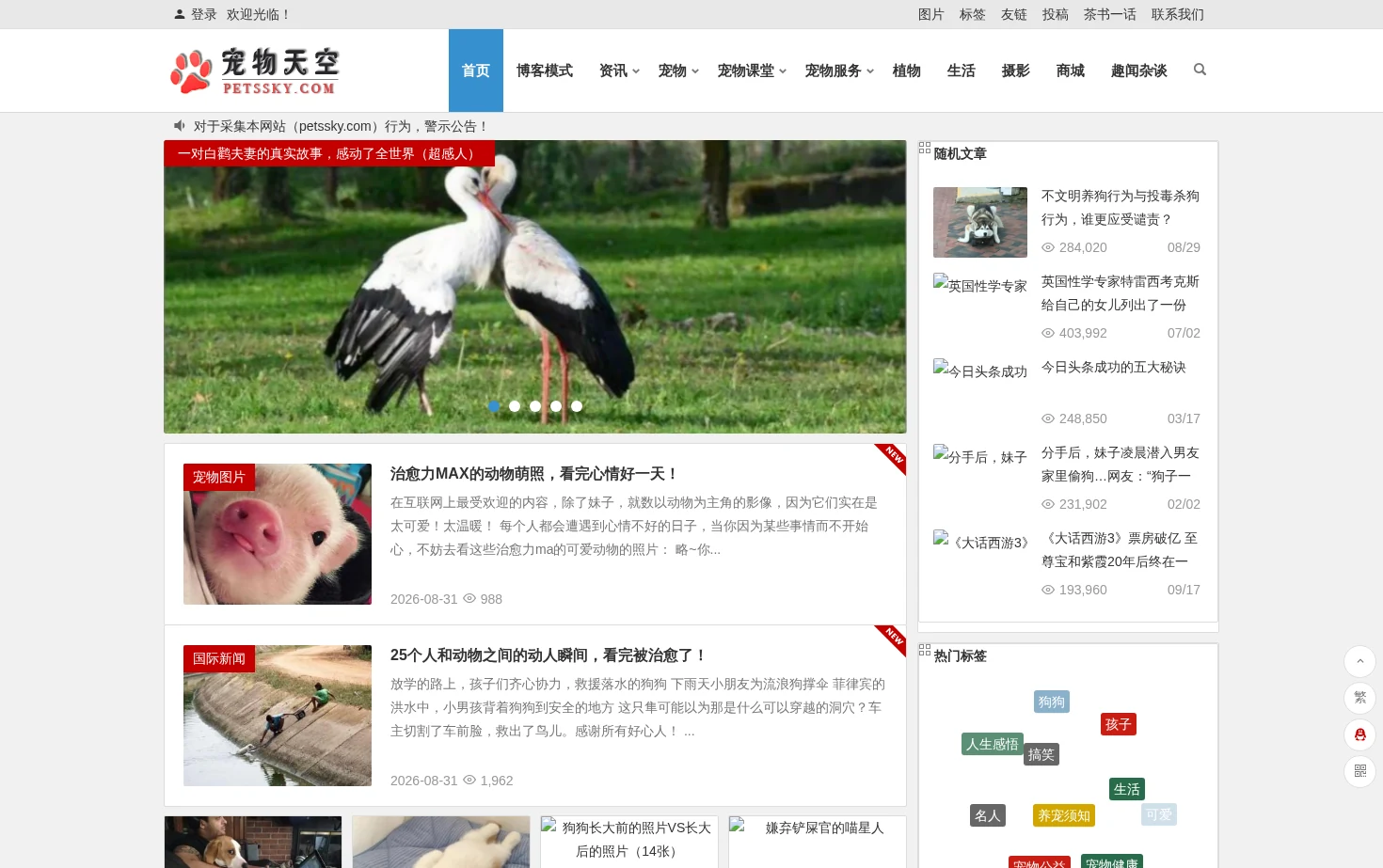 宠物天空网 页面快照